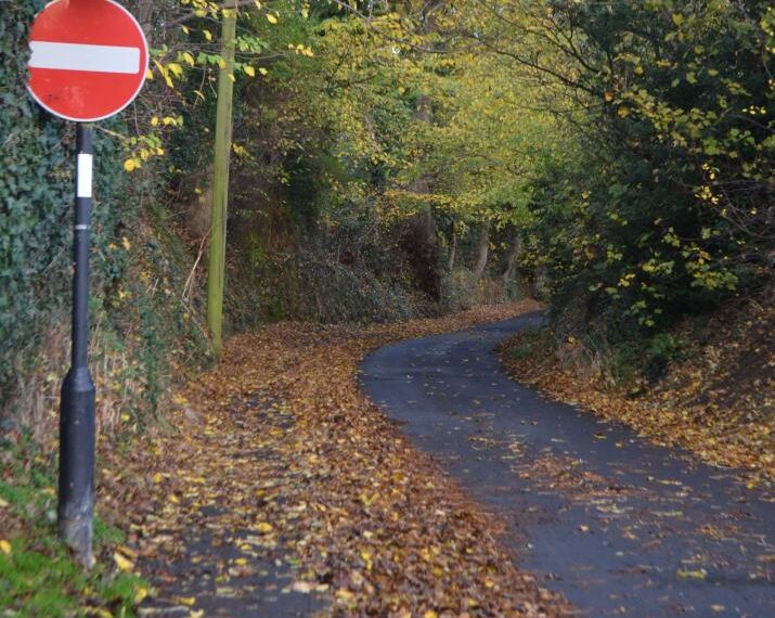 Leaves on the lane’ in Startforth not our problem, says Fix-It team