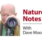 How modern buildings do little to help&hellip;