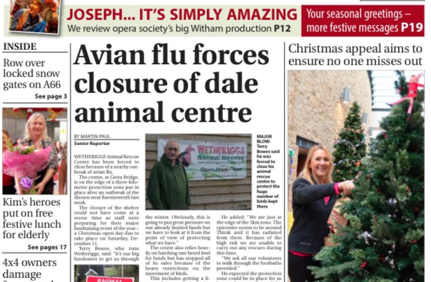 In this week’s Mercury