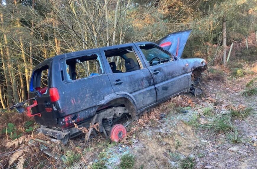 Historic forest track under attack from 4x4s