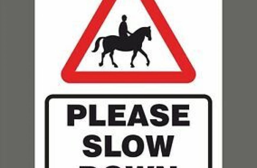 Changes to highway code will make horse riding safer’
