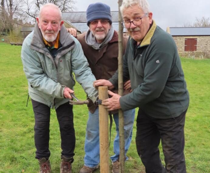Tree planting kicks off celebrations for Queen