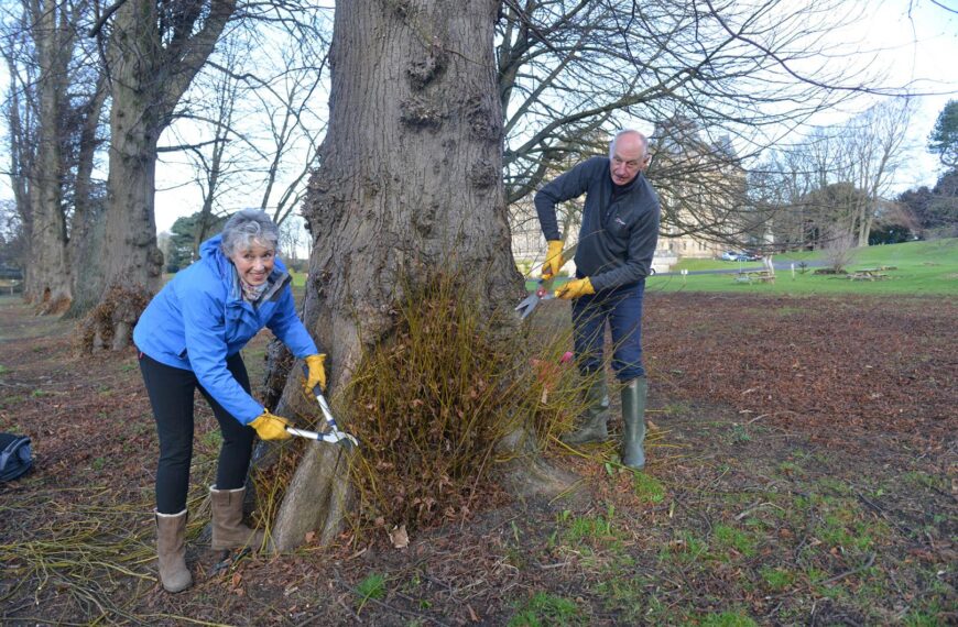 Volunteer gardeners sought to tackle museum grounds