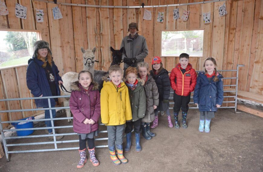 Town pupils mark British Science Day