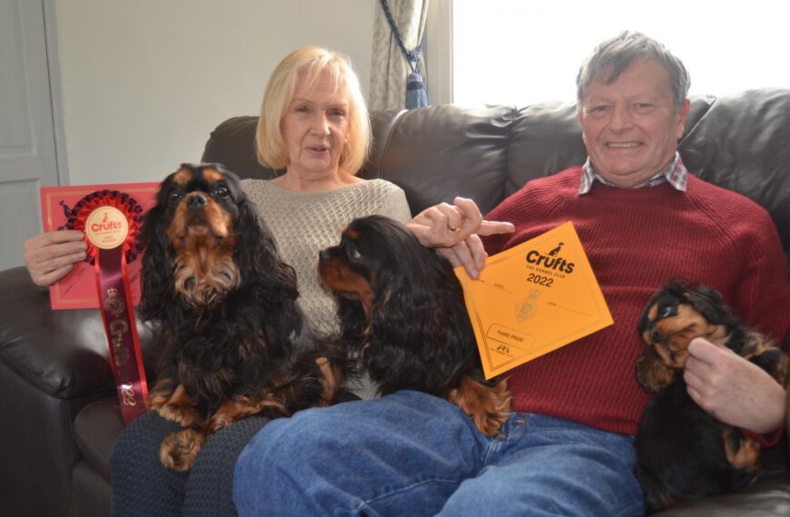 Top dogs bring home rosettes from Crufts