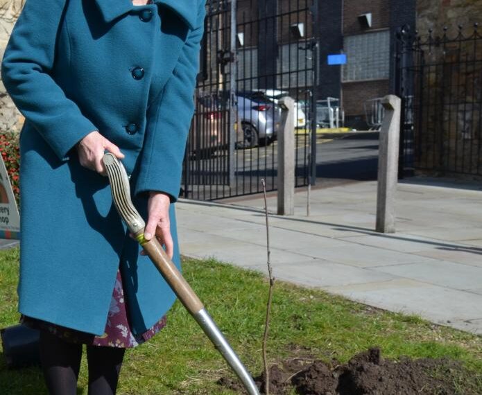 Memorial tree pays tribute to friendship