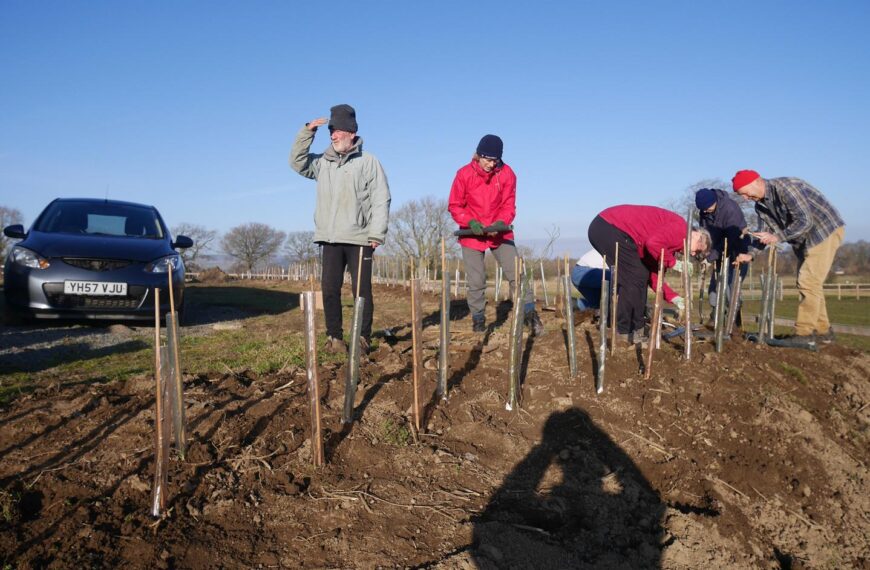Record-breaking 12 months for tree planting volunteers