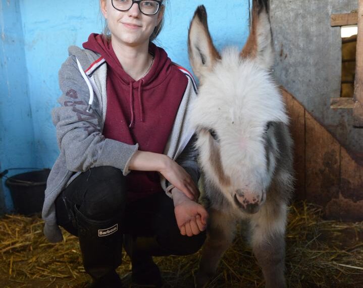 Crowds flock to meet miniature donkey Lorenzo