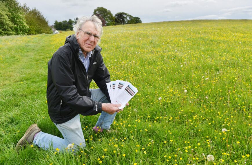 Go wild about beauty of meadow in bloom