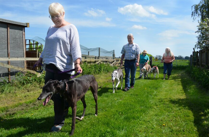 Dog lovers plan Great Global Greyhound Walk at Hutton Magna