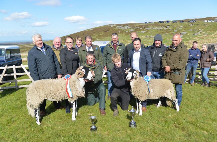 Huge crowd gathers for Tan Hill Swaledale sheep show’s return