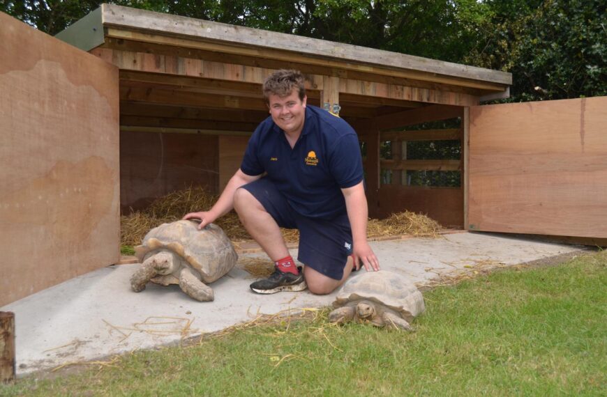 Life in the slow lane for farm’s new arrivals