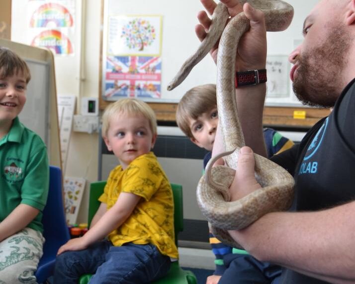Snake’s alive! Romeo proves star attraction