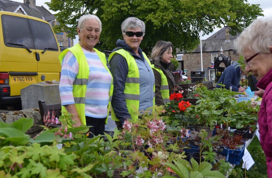 Plant sale raises cash to buy tree for Queen