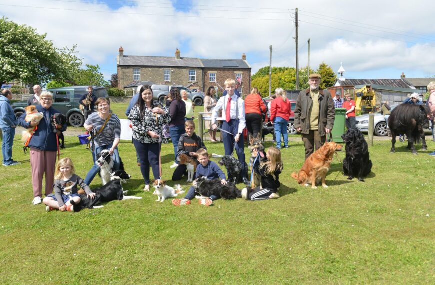 All creatures great and small at show