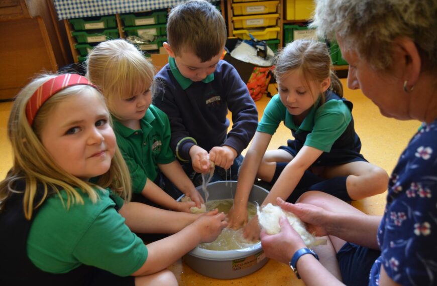 Spotlight on sheep farming at school