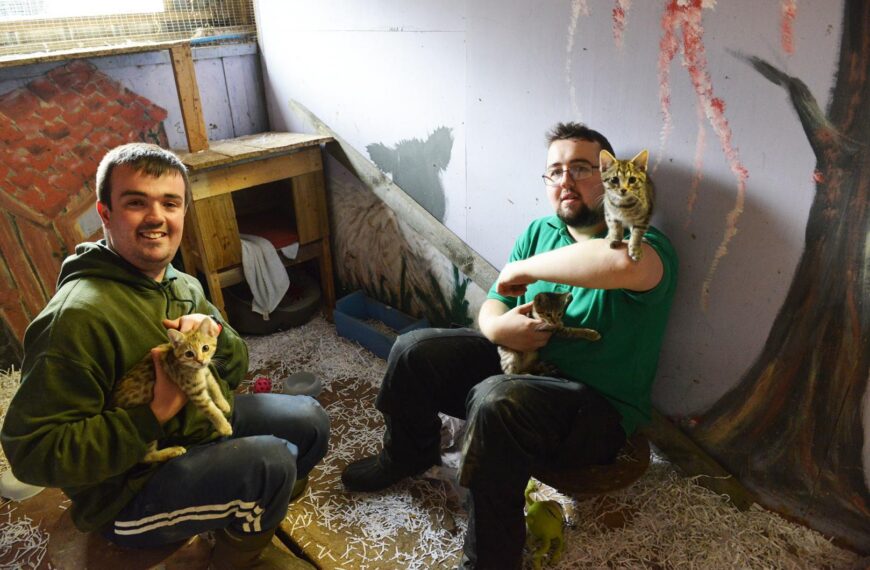 Sanctuary is the cat’s whiskers for Matthew