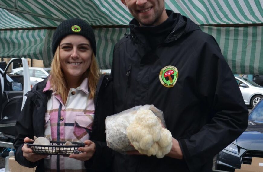 Jordan turns sawdust into fabulous fungus