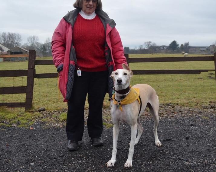 Dog lovers invited to take part in this year’s Great Gobal Greyhound Walk