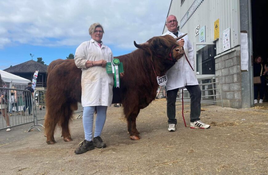 Rosettes galore at Great Yorkshire Show