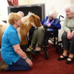 Residents enjoy visit from miniature horse