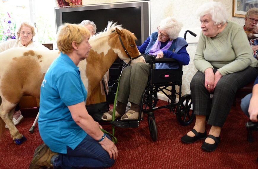 Residents enjoy visit from miniature horse
