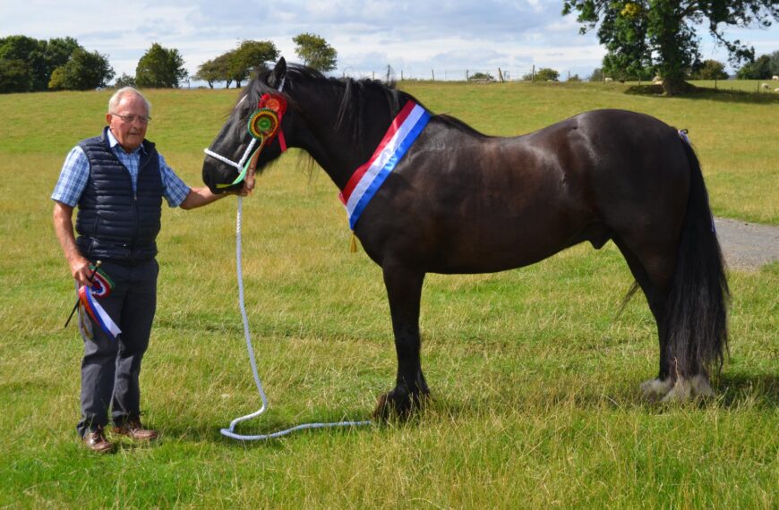 Double delight for Bolam breeder