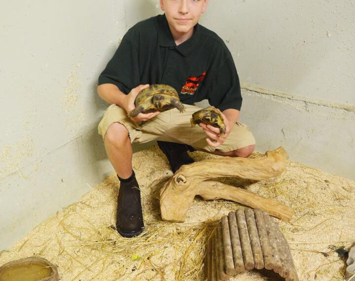 Cost of living crisis starts to bite at animal sanctuary