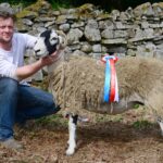 Ewes take top spots at Middleton-in-Teesdale Spring&hellip;