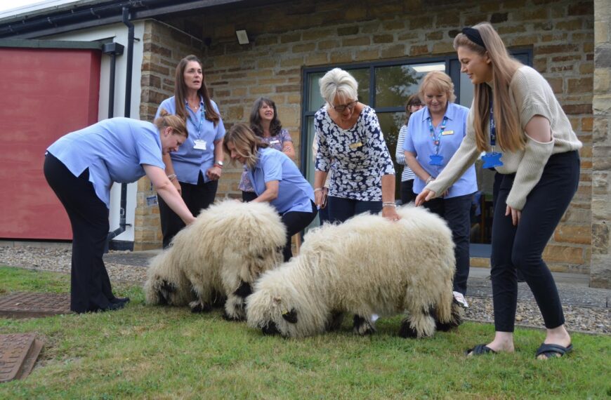 Gainford surgery raises the baa in NHS patient survey