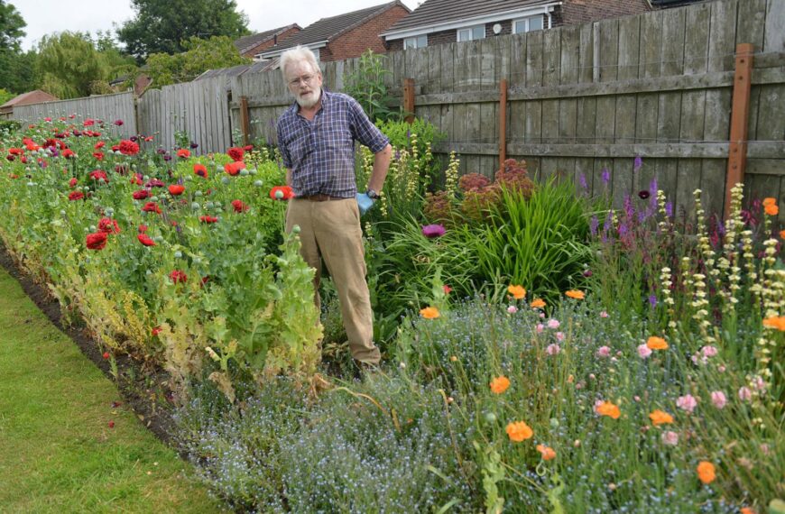 Wartime poppy tribute uncovered at sports pitch in Barnard Castle