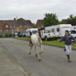 Seamless passage’ through Teesdale planned for travellers&hellip;