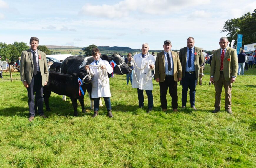 Eggleston hosts its best show yet