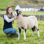 Superb Swaledales go on show at Langdon&hellip;