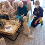 Alfie the poodle provides perfect therapy