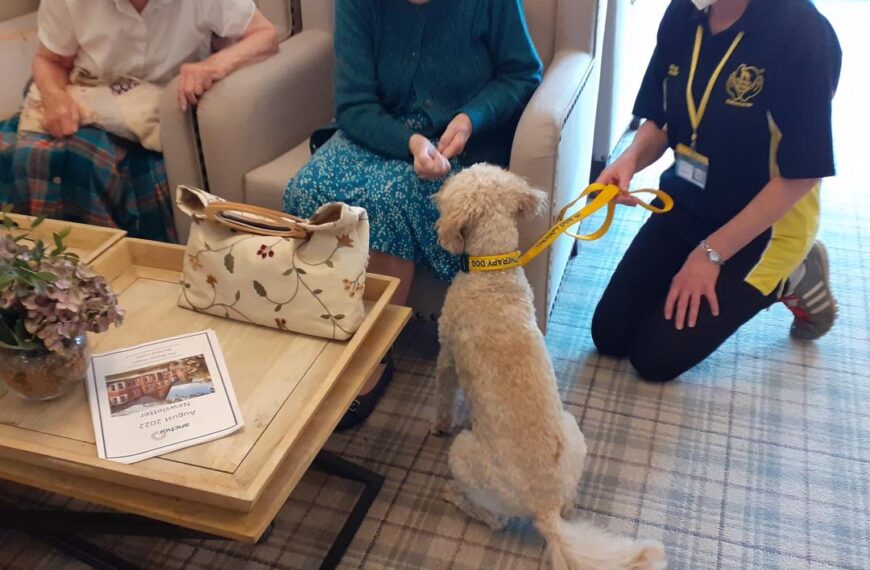 Alfie the poodle provides perfect therapy