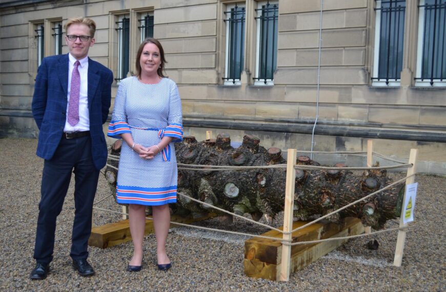 £10,000 appeal to turn Bowes Museum monkey puzzle tree into keepsakes