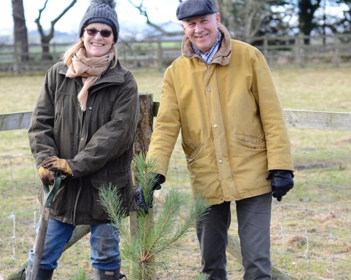 Couple’s big plans for giant redwood…