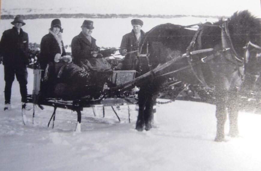 Exhibition shed new light on importance of Dales ponies