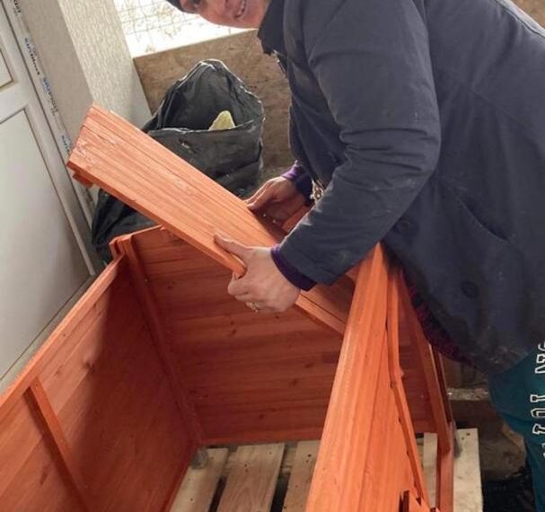 Street dog charity’s thanks to supporters across Teesdale