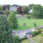 Trees on historic village green ‘at risk’