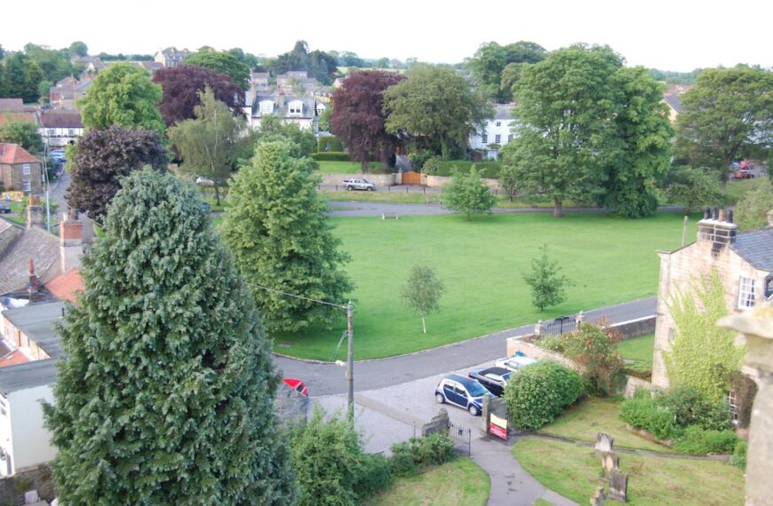 Trees on historic village green ‘at risk’