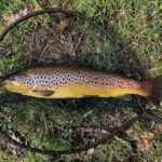 Angling club aims to hook new members&hellip;