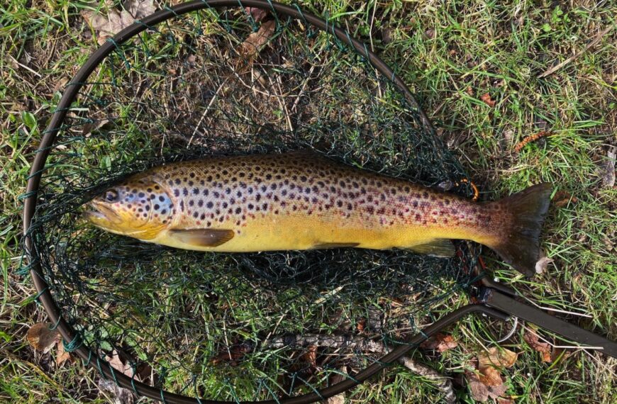 Angling club aims to hook new members at open evening