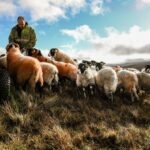 Exhibition highlights life on a tenant farm&hellip;