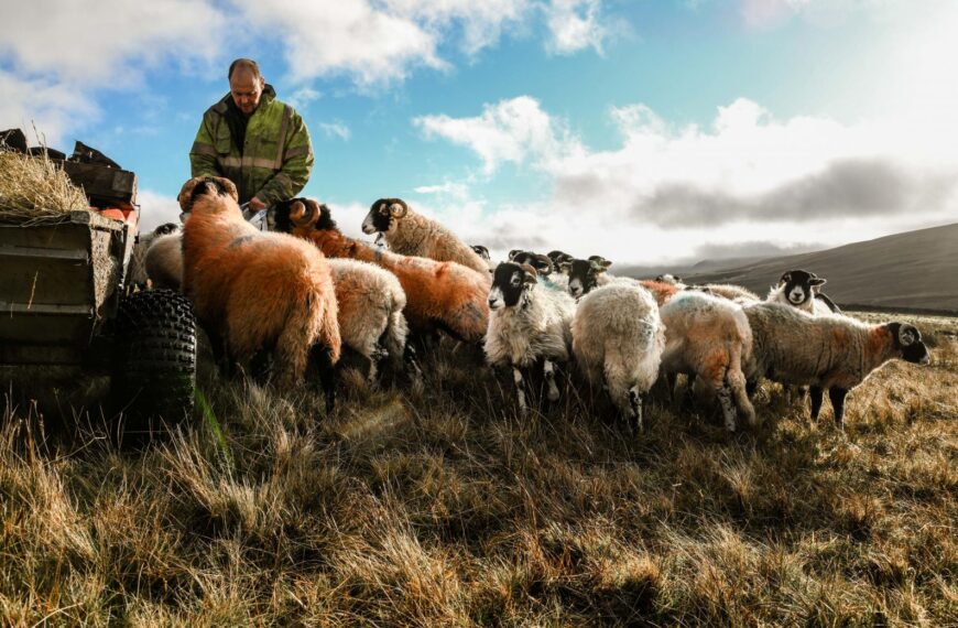 Exhibition highlights life on a tenant farm in teesdale