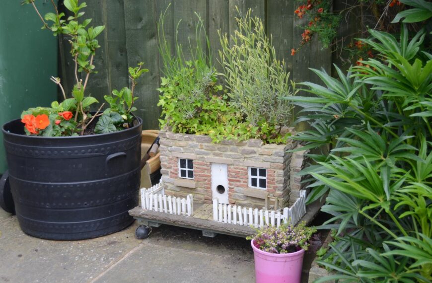 Builder Ian’s model way to grow plants