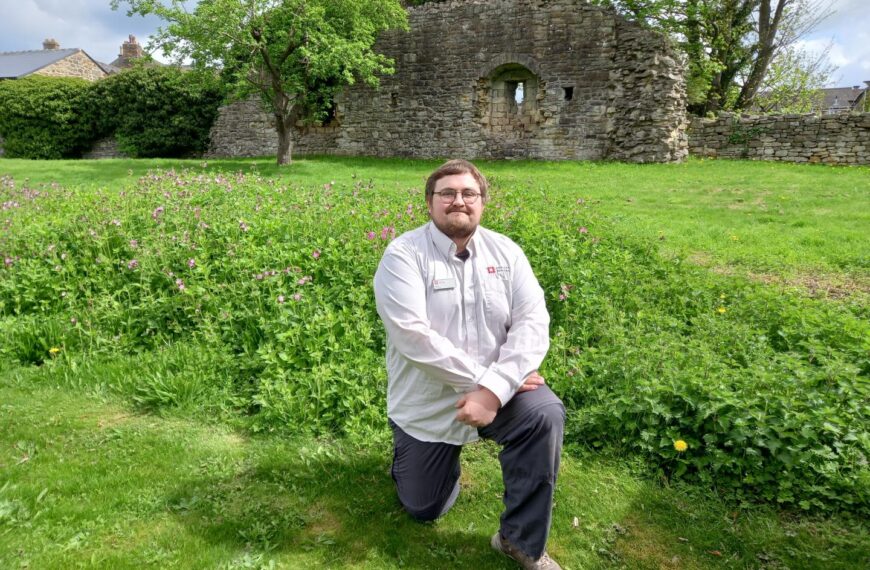 King’s meadow site for castle