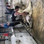 Lewis Wearmouth achieved a gold seal at&hellip;