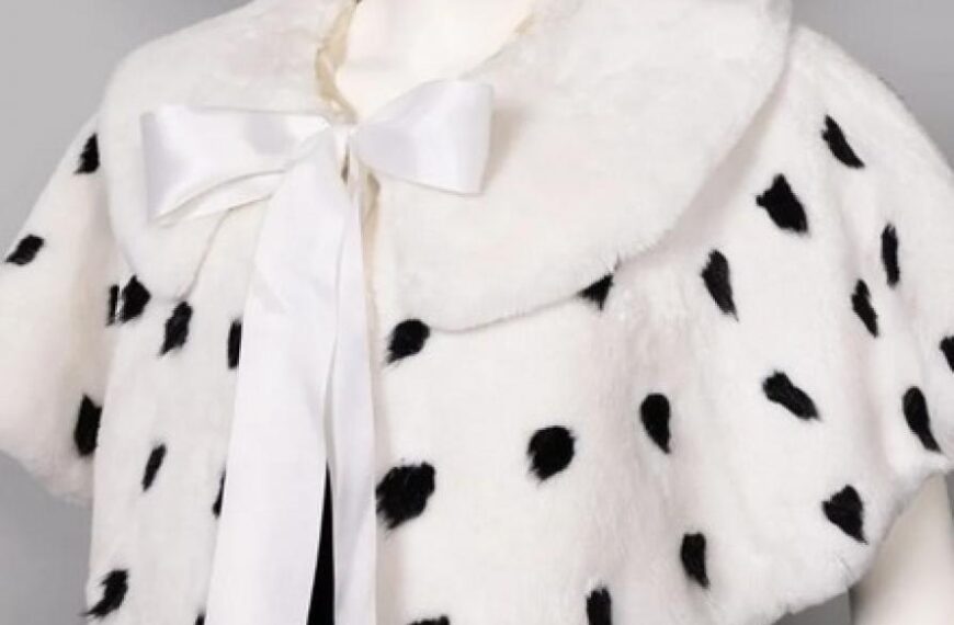 Westwood collection on show in museum